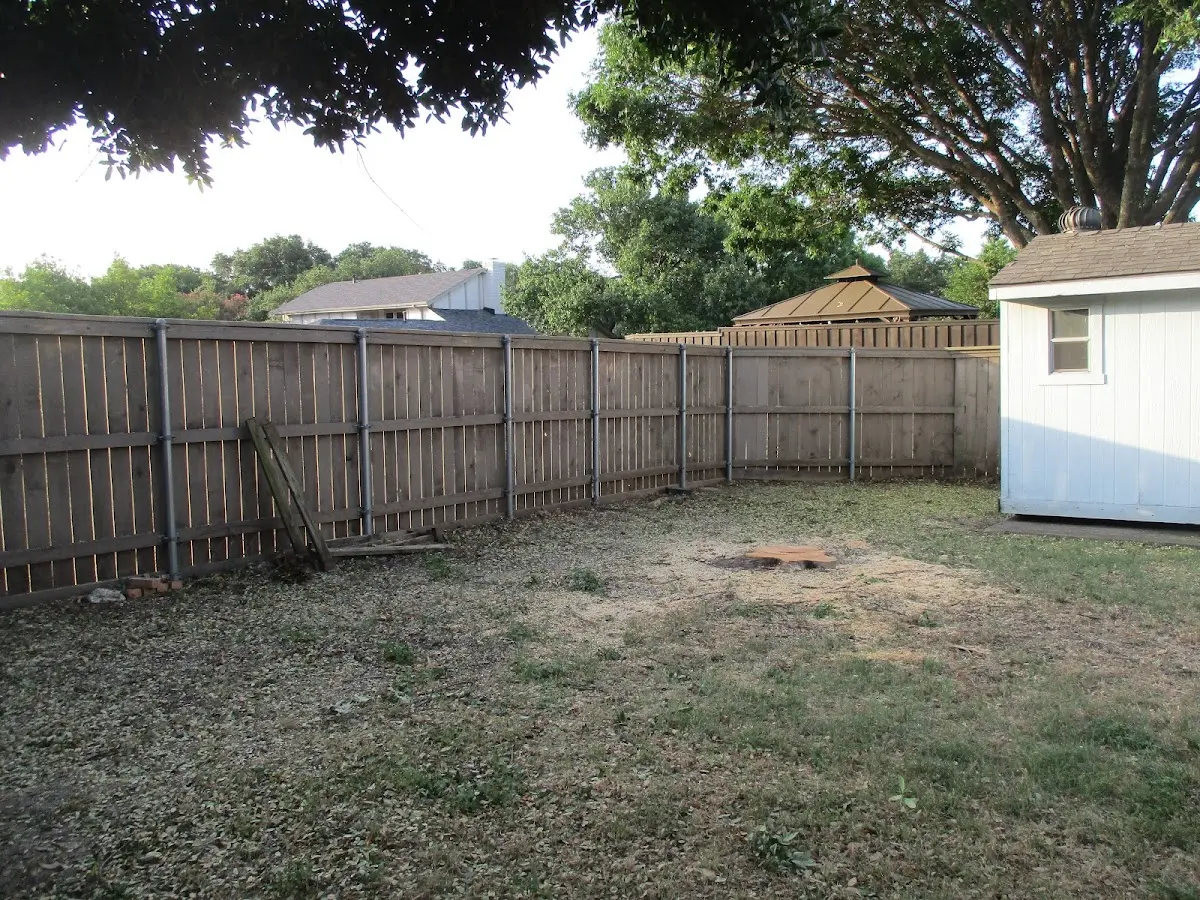 Cleared yard after professional tree removal in Wheatland