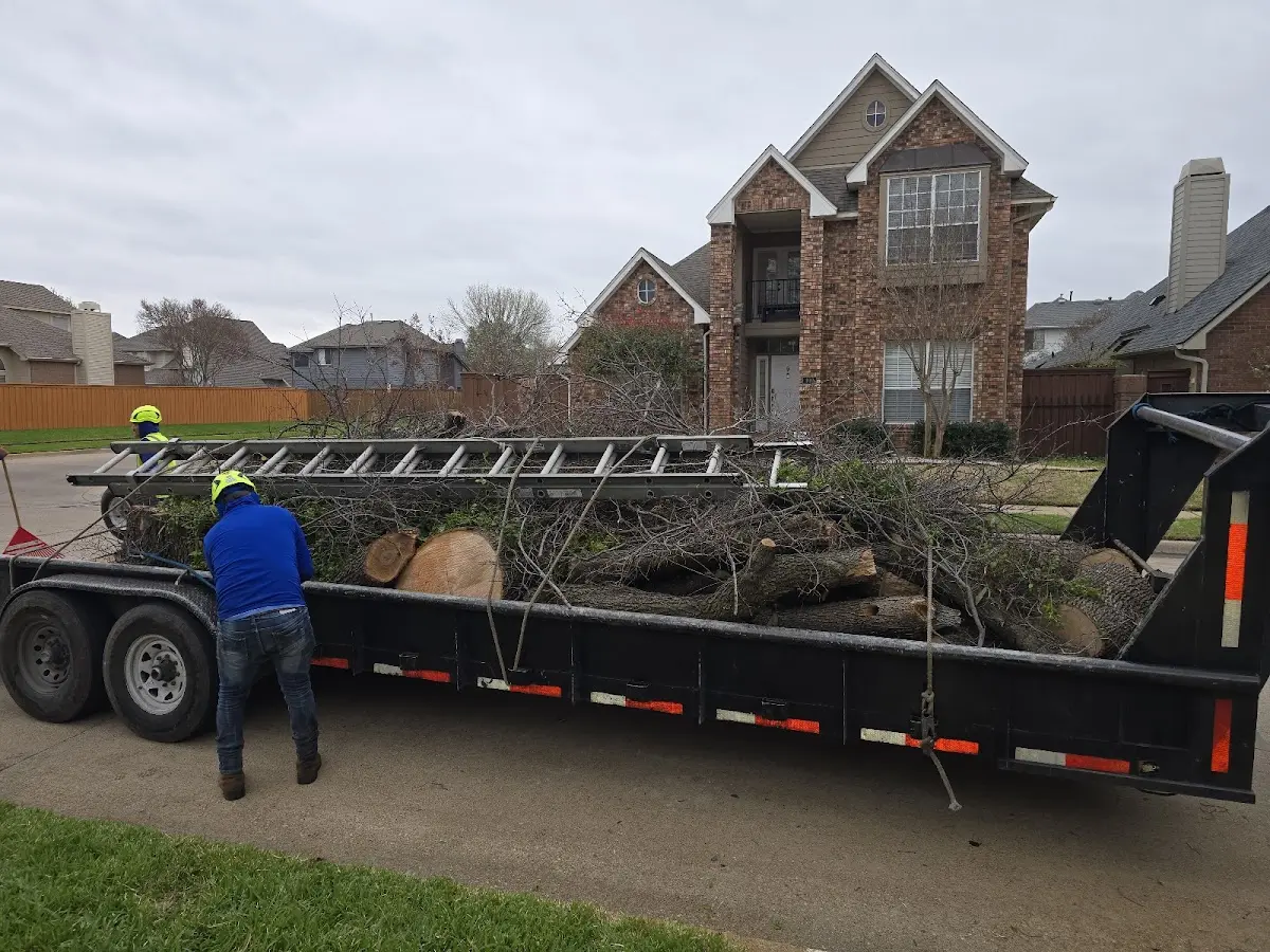 Expert Lot Clearing with proper safety equipment in Wheatland